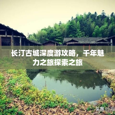 长汀古城深度游攻略，千年魅力之旅探索之旅