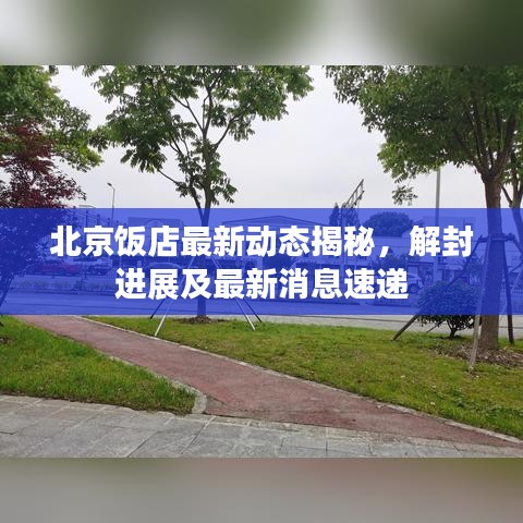 北京饭店最新动态揭秘，解封进展及最新消息速递