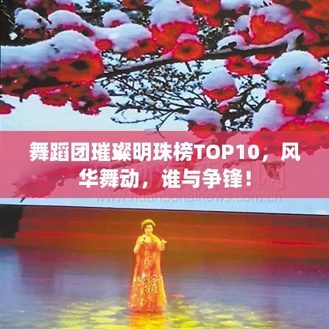 舞蹈团璀璨明珠榜TOP10，风华舞动，谁与争锋！
