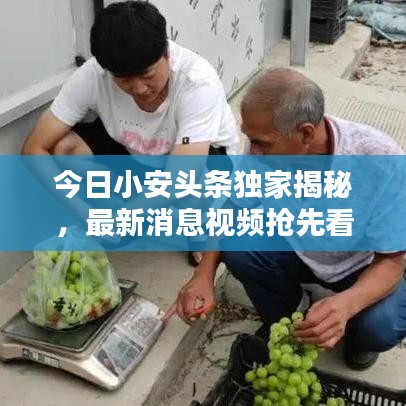 今日小安头条独家揭秘，最新消息视频抢先看！