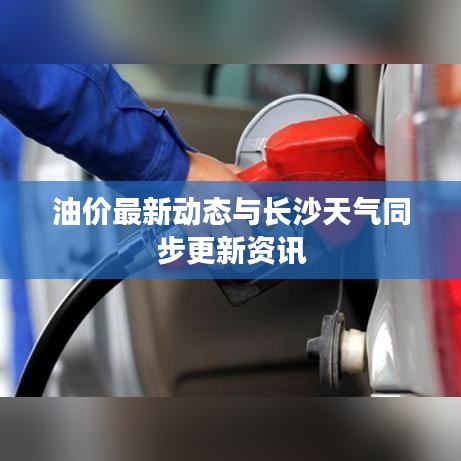 油价最新动态与长沙天气同步更新资讯
