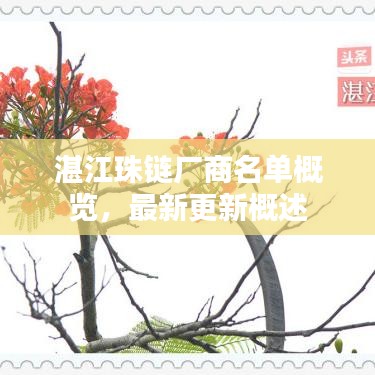 湛江珠链厂商名单概览，最新更新概述