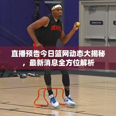 直播预告今日篮网动态大揭秘，最新消息全方位解析