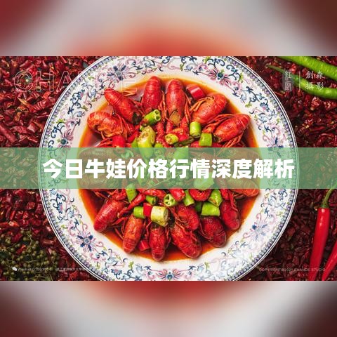 今日牛娃价格行情深度解析