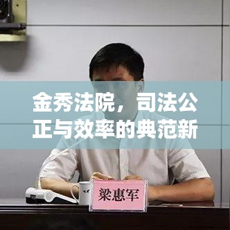 金秀法院，司法公正与效率的典范新闻头条