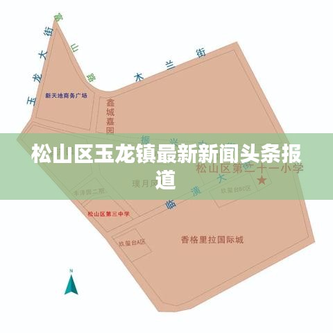 松山区玉龙镇最新新闻头条报道