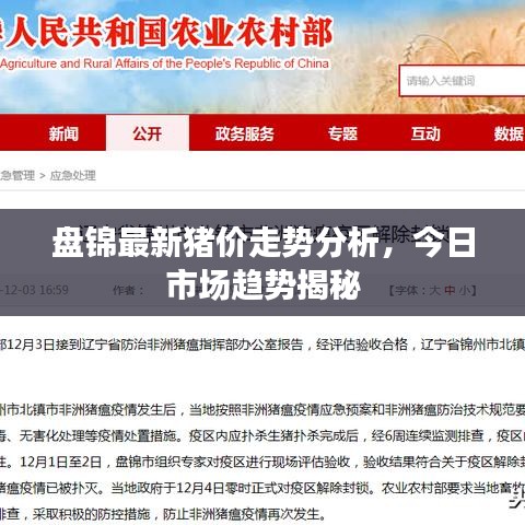 盘锦最新猪价走势分析，今日市场趋势揭秘