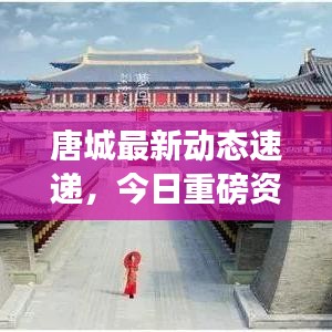 唐城最新动态速递，今日重磅资讯一网打尽