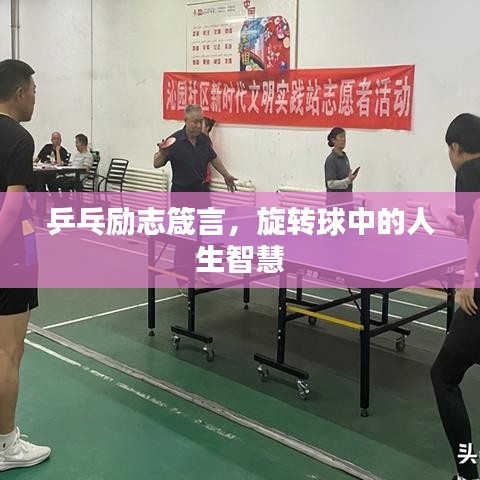 乒乓励志箴言，旋转球中的人生智慧