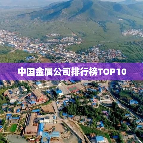 中国金属公司排行榜TOP10