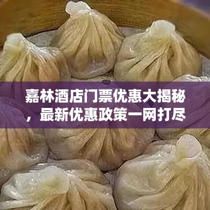 嘉林酒店门票优惠大揭秘，最新优惠政策一网打尽！
