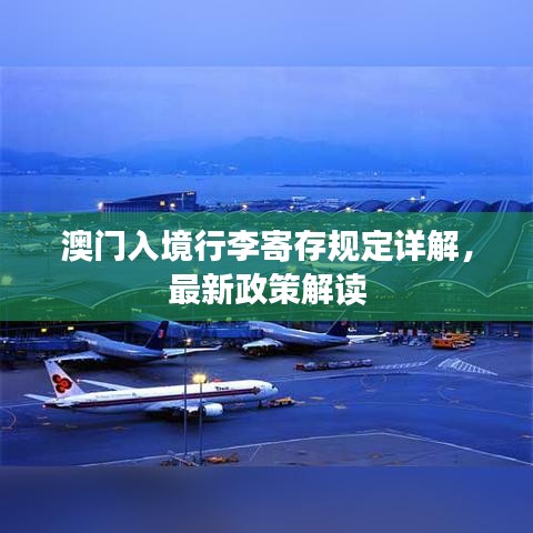 澳门入境行李寄存规定详解，最新政策解读