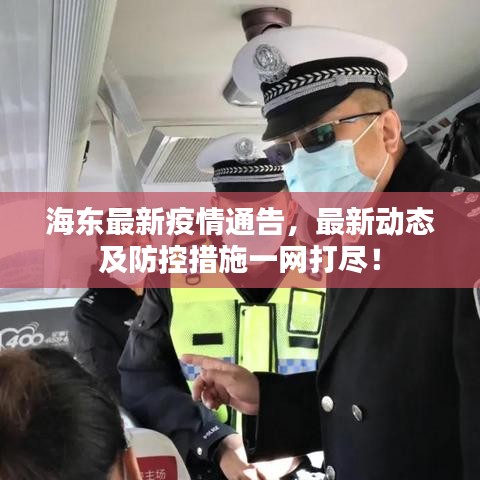 海东最新疫情通告，最新动态及防控措施一网打尽！