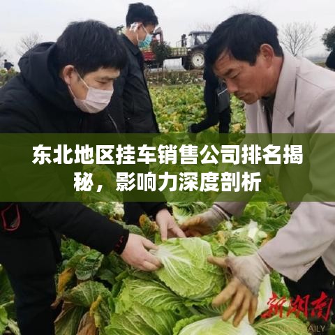 东北地区挂车销售公司排名揭秘，影响力深度剖析
