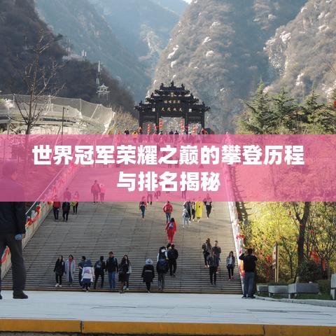 世界冠军荣耀之巅的攀登历程与排名揭秘