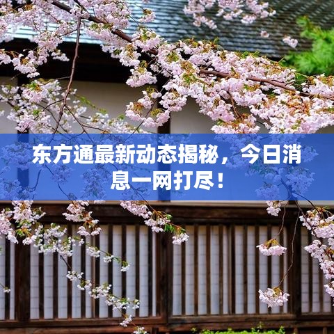 东方通最新动态揭秘，今日消息一网打尽！