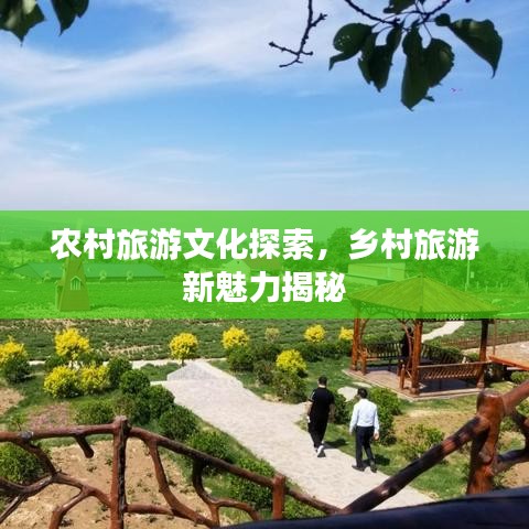 农村旅游文化探索，乡村旅游新魅力揭秘