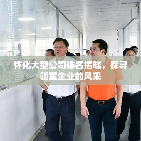 怀化大型公司排名揭晓，探寻领军企业的风采