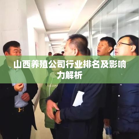 山西养殖公司行业排名及影响力解析