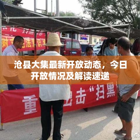 沧县大集最新开放动态，今日开放情况及解读速递