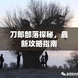 刀郎部落探秘，最新攻略指南