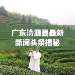 广东清源县最新新闻头条揭秘