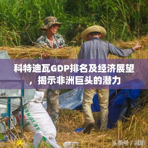 科特迪瓦GDP排名及经济展望，揭示非洲巨头的潜力