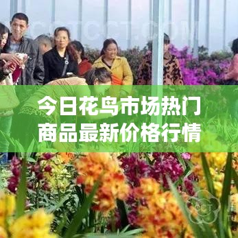今日花鸟市场热门商品最新价格行情揭秘