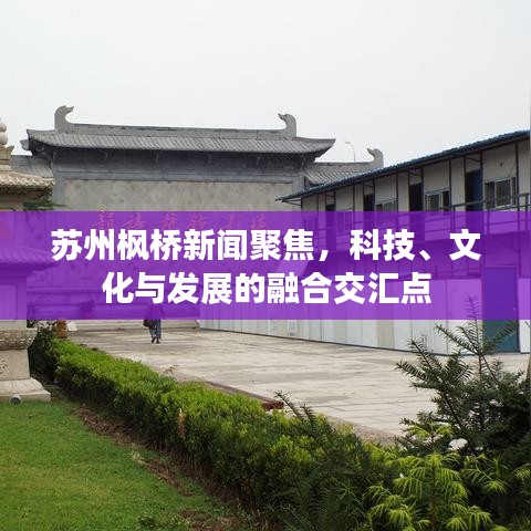 苏州枫桥新闻聚焦，科技、文化与发展的融合交汇点