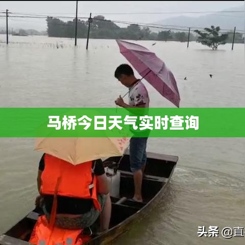马桥今日天气实时查询