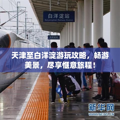 天津至白洋淀游玩攻略，畅游美景，尽享惬意旅程！