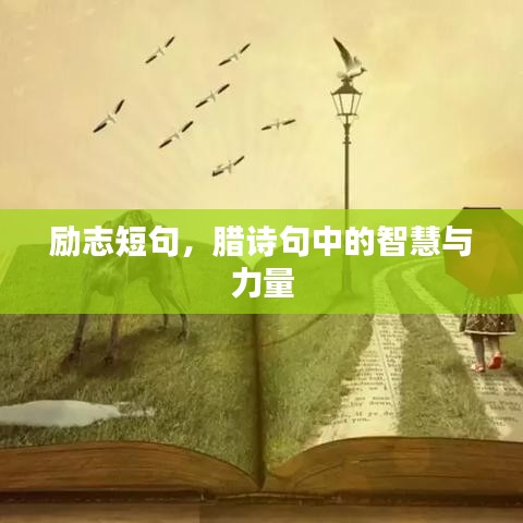 励志短句，腊诗句中的智慧与力量