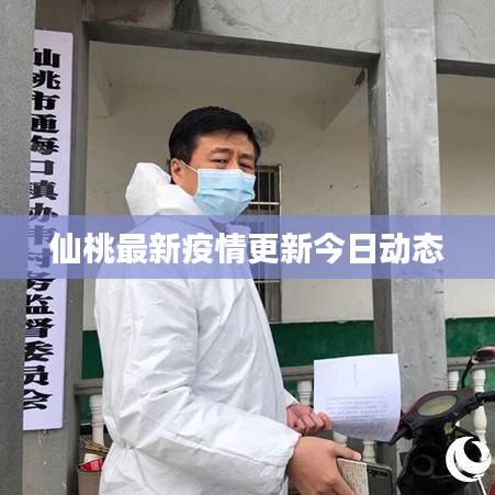 仙桃最新疫情更新今日动态