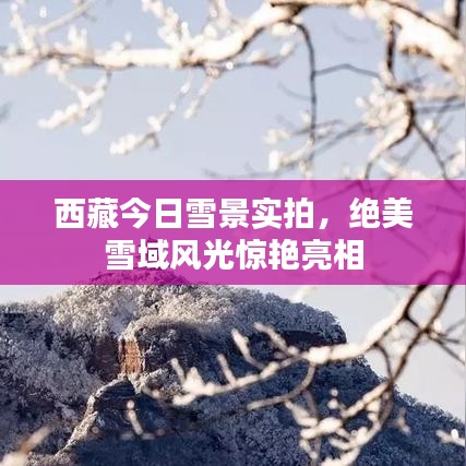 西藏今日雪景实拍，绝美雪域风光惊艳亮相