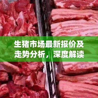 生猪市场最新报价及走势分析，深度解读市场趋势与预测