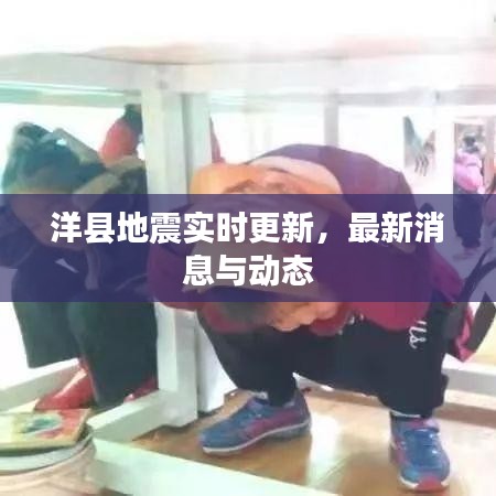 洋县地震实时更新，最新消息与动态