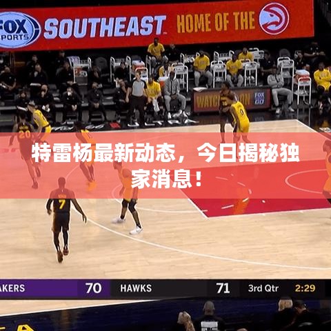 特雷杨最新动态，今日揭秘独家消息！