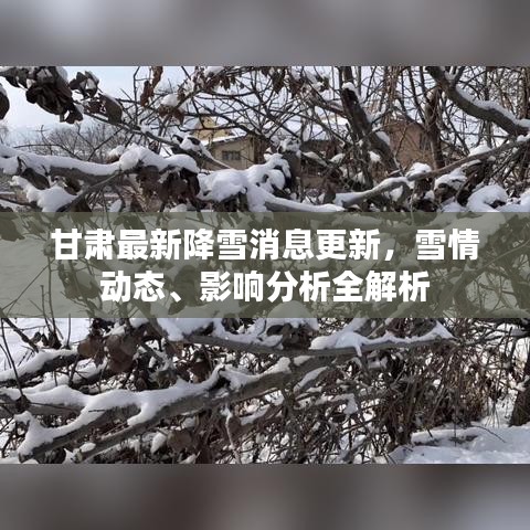 甘肃最新降雪消息更新，雪情动态、影响分析全解析
