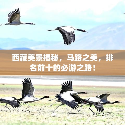 西藏美景揭秘，马路之美，排名前十的必游之路！