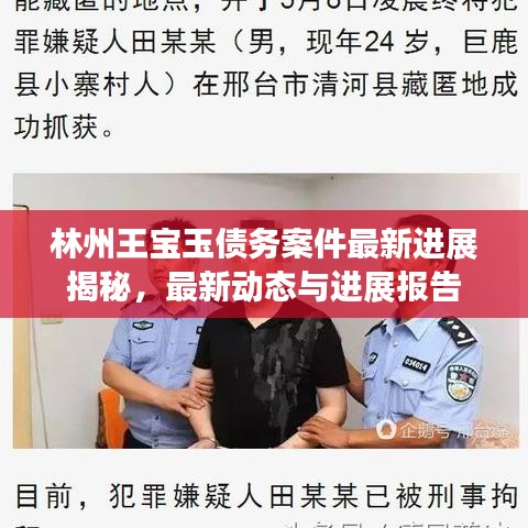 林州王宝玉债务案件最新进展揭秘，最新动态与进展报告