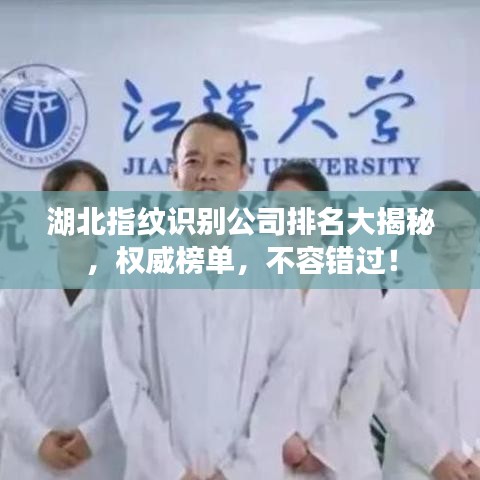 湖北指纹识别公司排名大揭秘，权威榜单，不容错过！