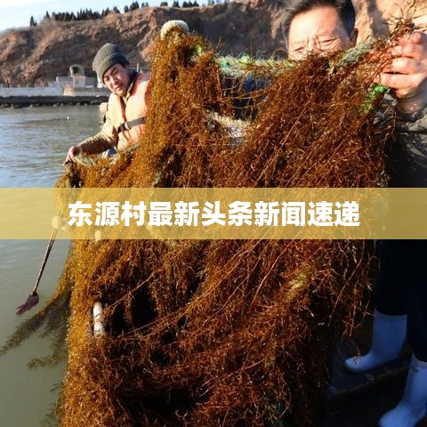 东源村最新头条新闻速递