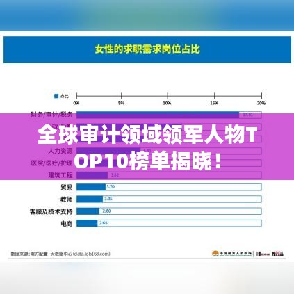 全球审计领域领军人物TOP10榜单揭晓！