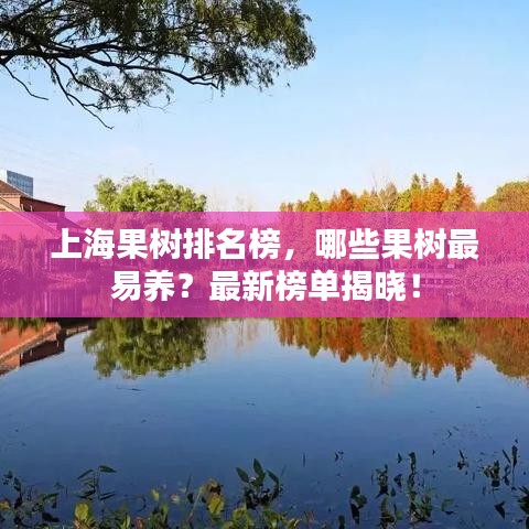 上海果树排名榜，哪些果树最易养？最新榜单揭晓！