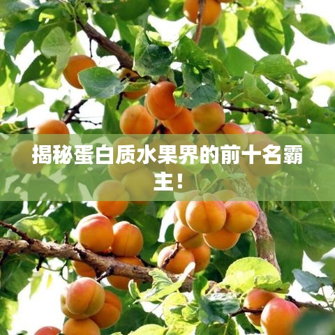 揭秘蛋白质水果界的前十名霸主！