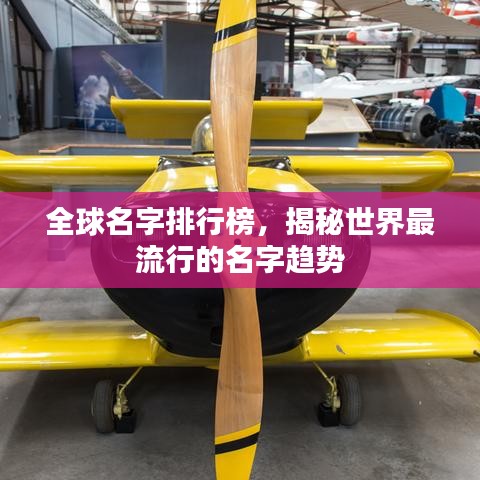 全球名字排行榜，揭秘世界最流行的名字趋势