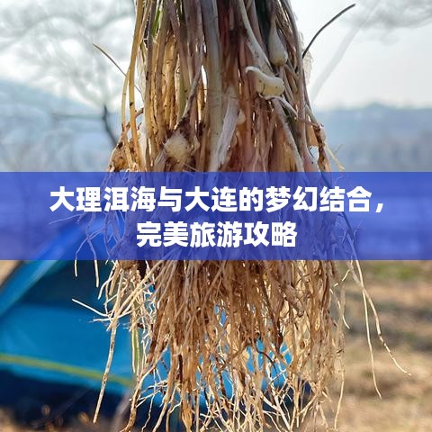 大理洱海与大连的梦幻结合，完美旅游攻略