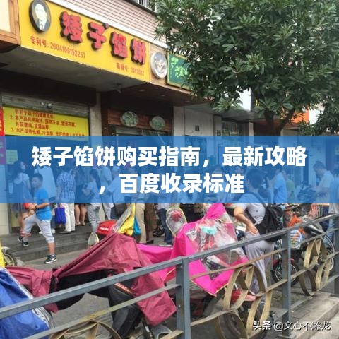 矮子馅饼购买指南，最新攻略，百度收录标准