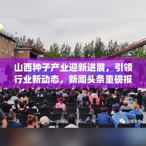 山西种子产业迎新进展，引领行业新动态，新闻头条重磅报道
