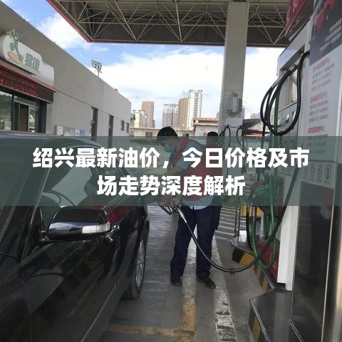 绍兴最新油价，今日价格及市场走势深度解析